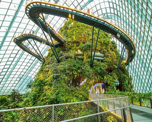 Gardens by the Bay - Singapore Tour