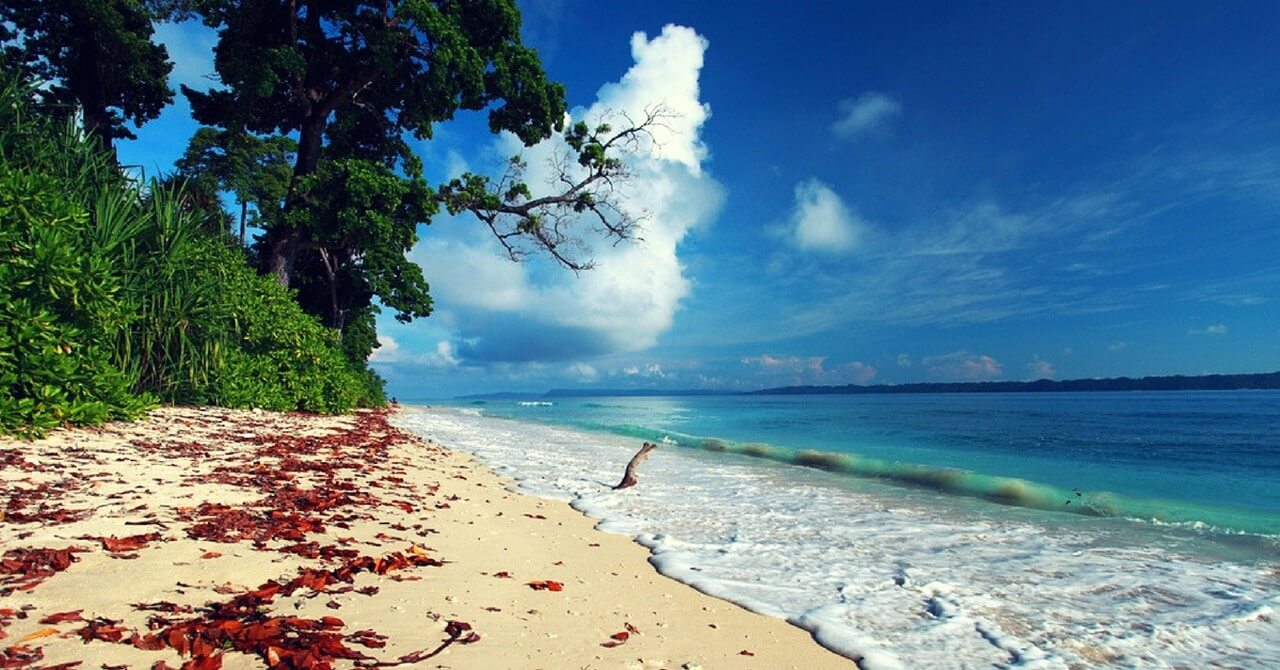 Andaman Island Tour Packages Andaman Island Tour Packages