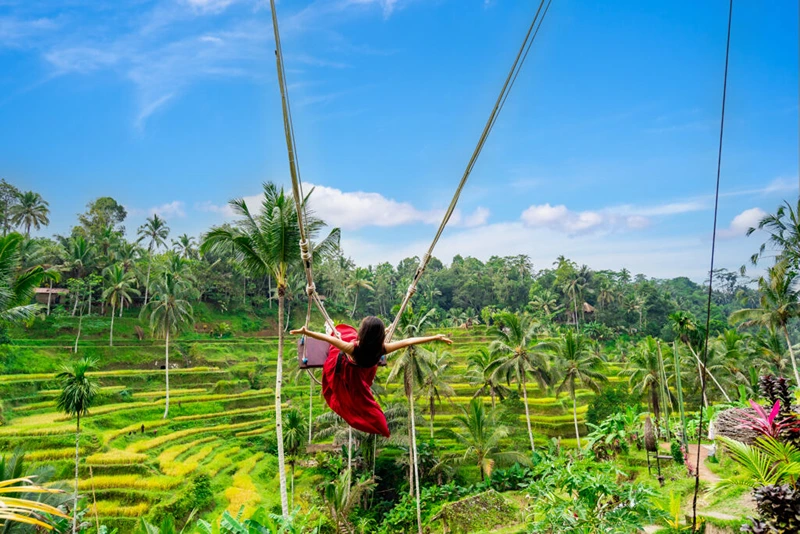 Bali-swing-at-tegalalang-rice-terrace-in-Bali-Indonesia Bali-swing-at-tegalalang-rice-terrace-in-Bali-Indonesia