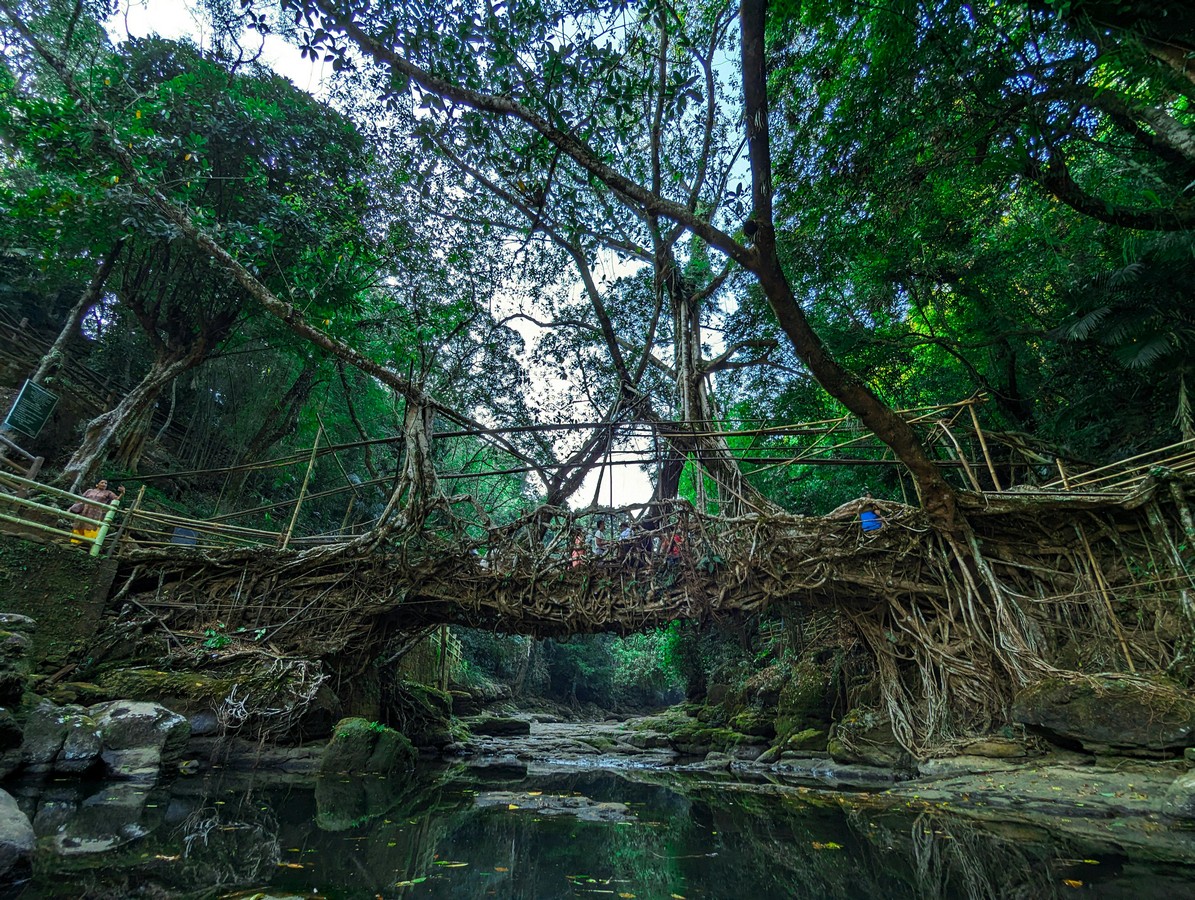 Cherrapunjee-The Land of Living Root Bridges and Waterfalls-Banner Cherrapunjee-The Land of Living Root Bridges and Waterfalls-Banner