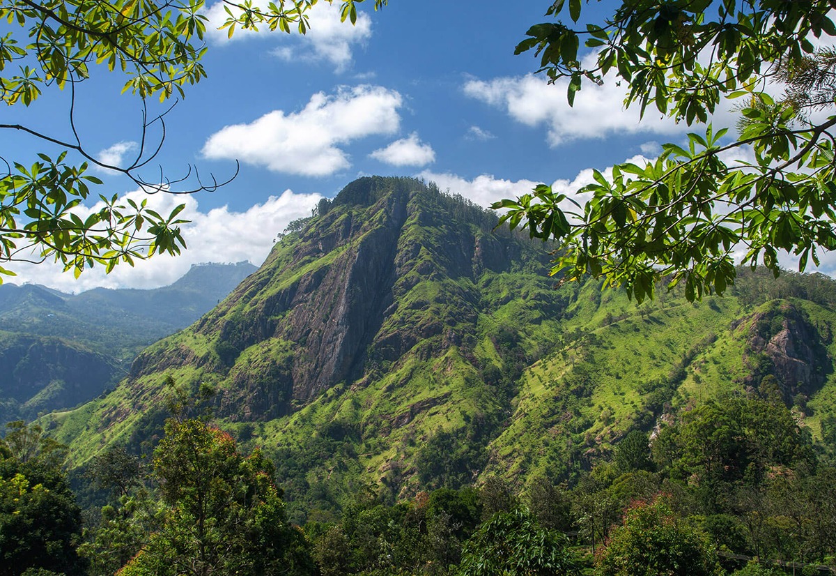 Ella rock Explore Ella’s Wonders with Sri Lanka Tour Packages