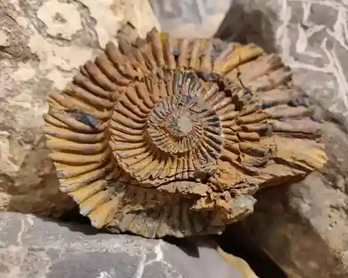 Spiti Valley Tour Packages