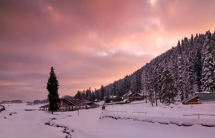 Honeymoon Places in kashmir