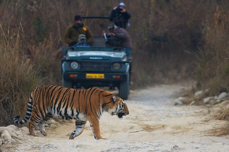 Jim Corbett National Park Jim Corbett National Park
