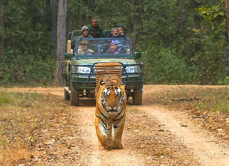 Kanha National Park