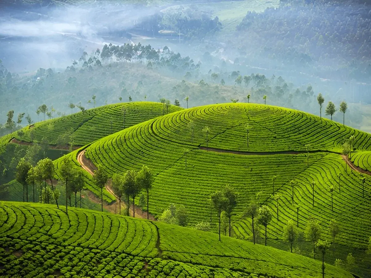 Kerala Tour for Monsoon Kerala Tour for Monsoon