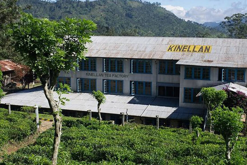 Kinellan-Tea-Factory Explore Ella’s Wonders with Sri Lanka Tour Packages