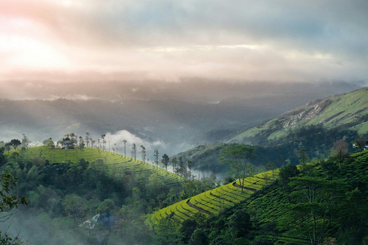 Munnar Tour Packages Munnar Tour Packages
