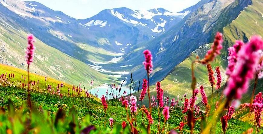 Nanda-devi-national-park Nanda devi national park - Only 200 Indians Can Visit This Place in India