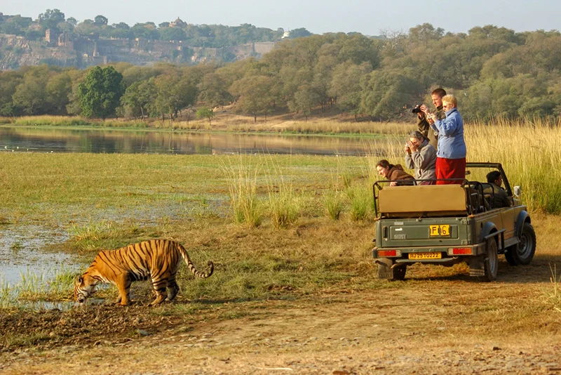 Ranthambore National Park