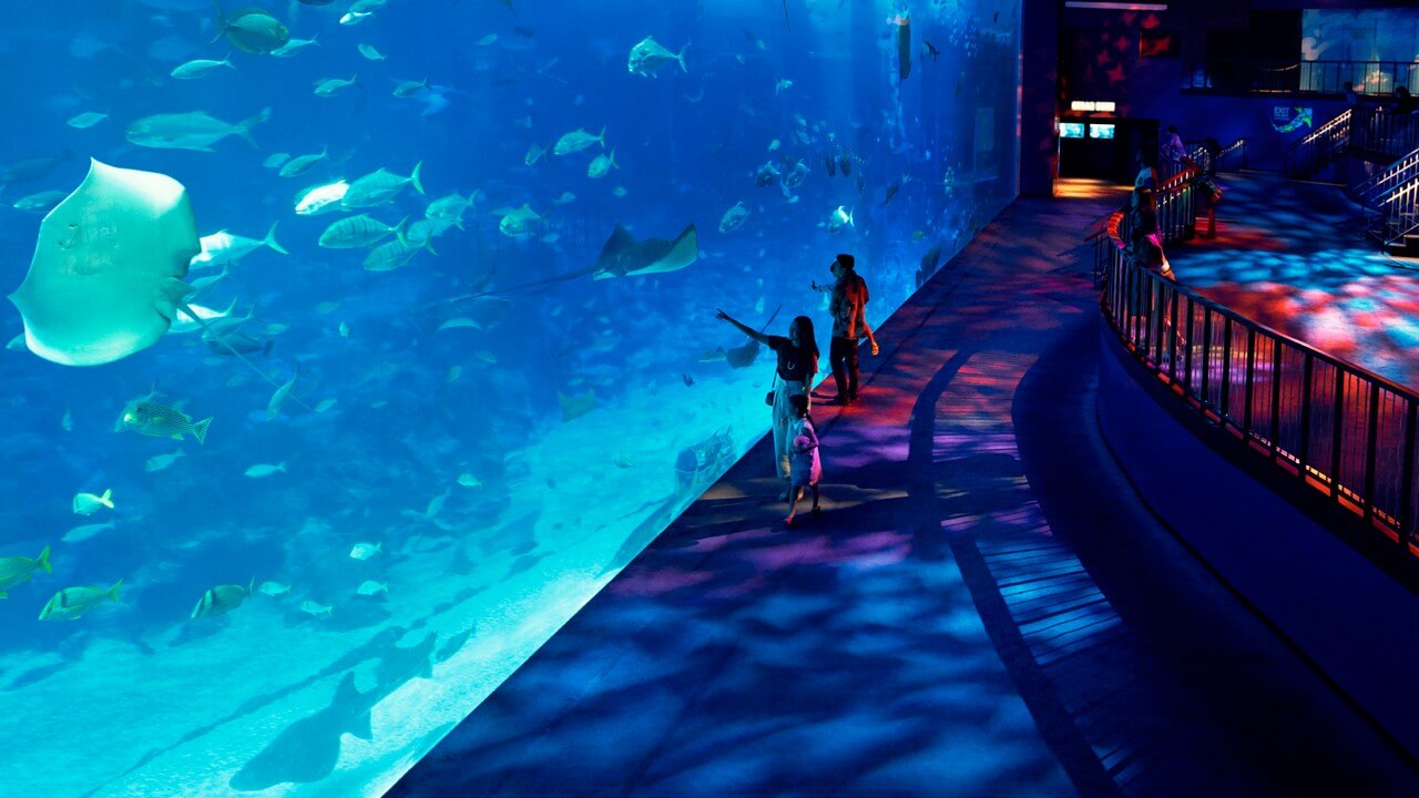 Sentosa Island - Online Best Singapore's Jewel and Dome Resort