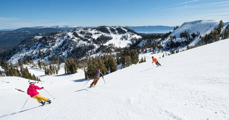 Skiing & Snowboarding