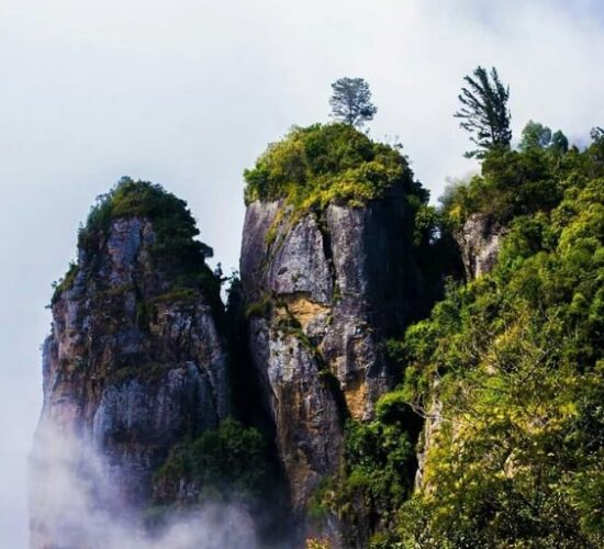 South India Spiritual & Coastal Journey-tamilnadu-thumbnail