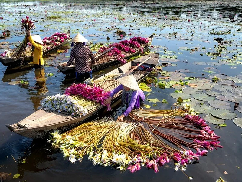 Vietnam Floating Market Tour (3) Vietnam Floating Market Tour