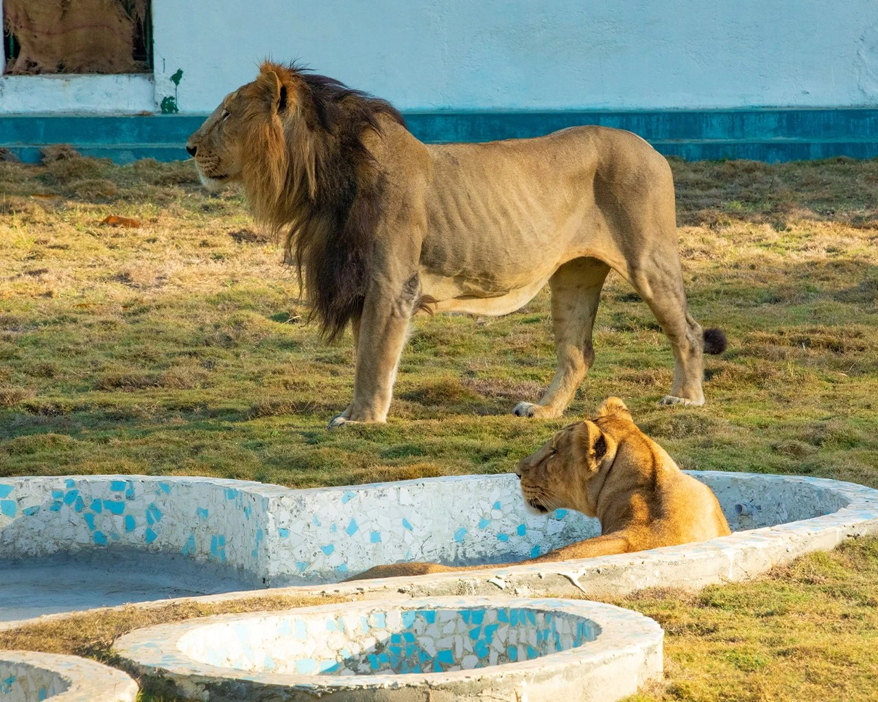 Visit To Statue Of Unity (5) Visit to the Statue of Unity - A Comprehensive Guide