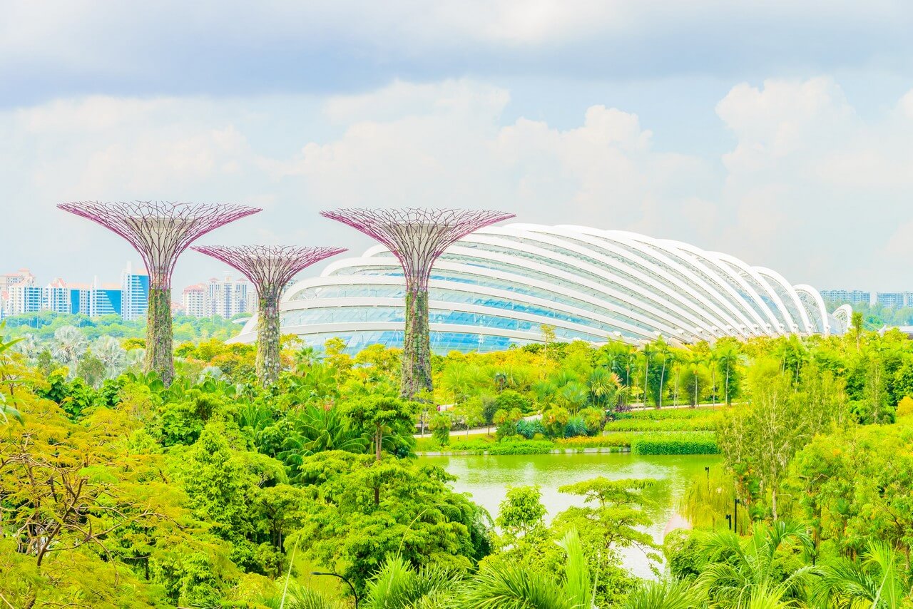 Gardens by the Bay - Singapore Tour Packages
