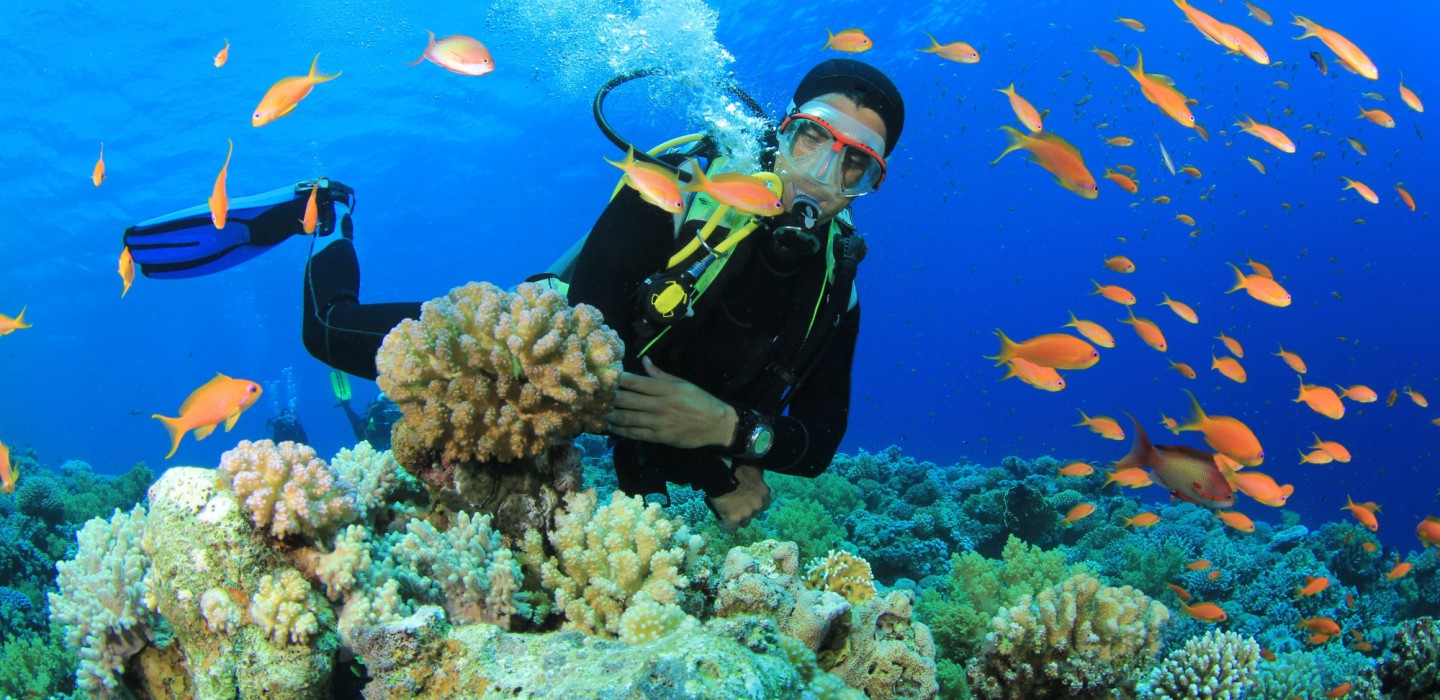 scuba-adventure andaman Sri Lanka, Bali and Andaman Island Tour Under ₹15,000