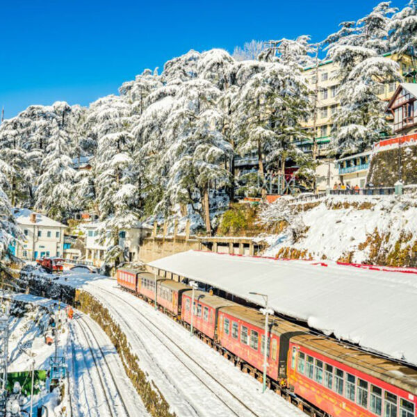 shimla-manali-himachal-tour
